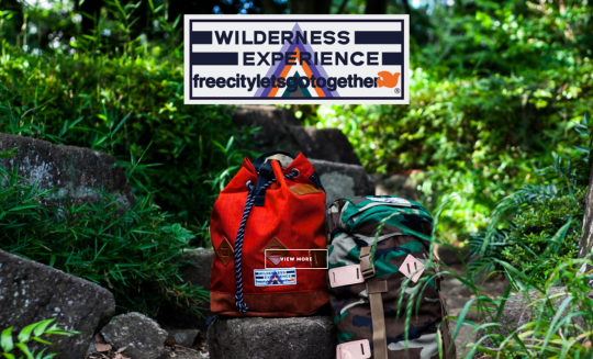 WILDERNESS EXPERIENCE