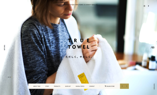 TRUE TOWEL