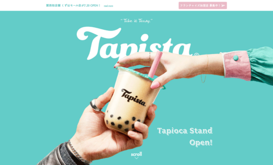 Tapista